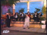 زين حداد في حفل الصفصاف