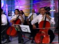 منوعة تلفزية – زين حداد